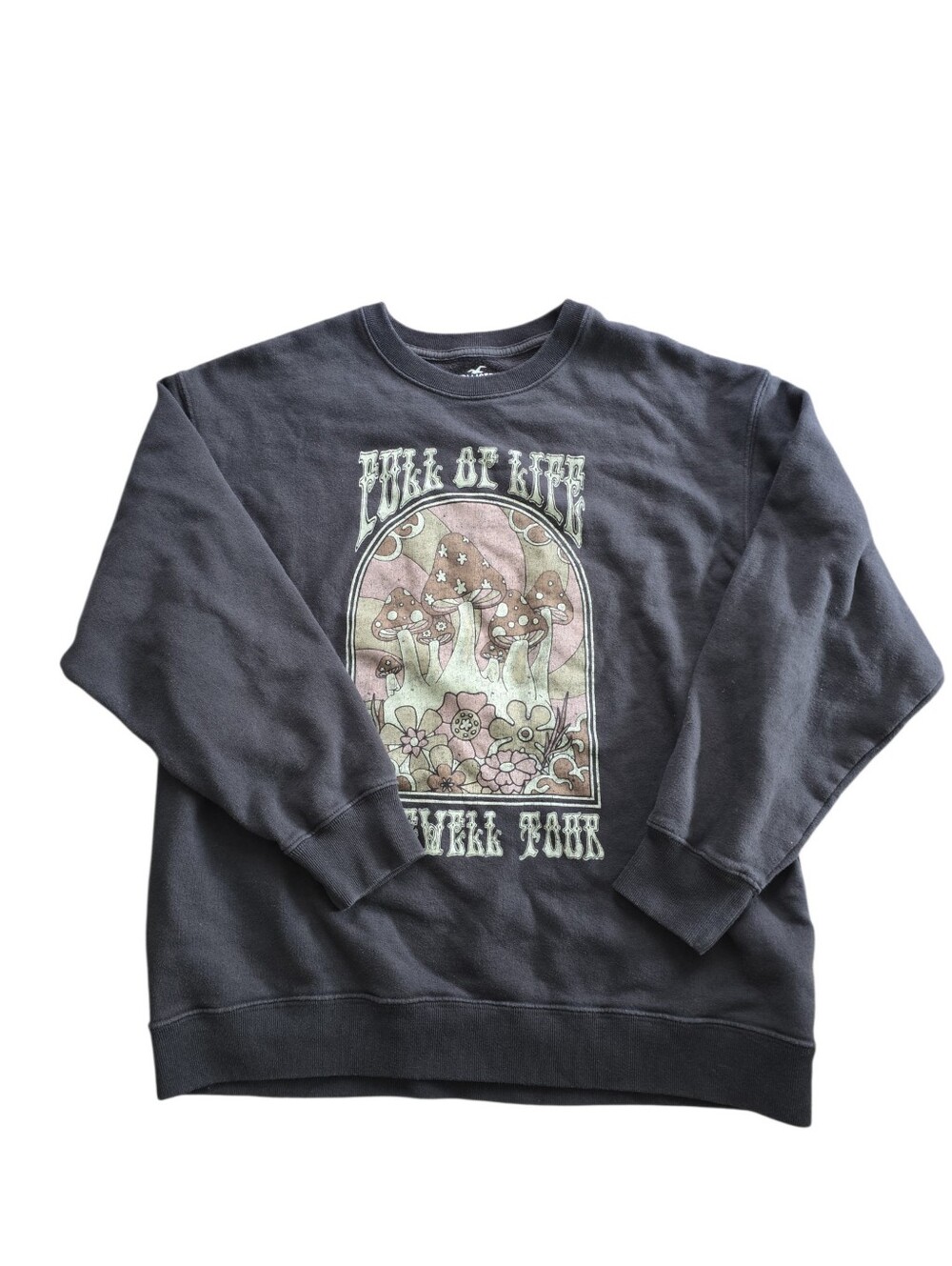 Hollister Full of Life Farewell Tour Mushroom Sweatshirt M